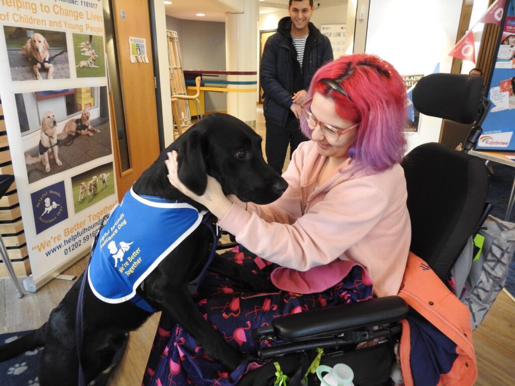 a woman in a wheelchair petting a dog