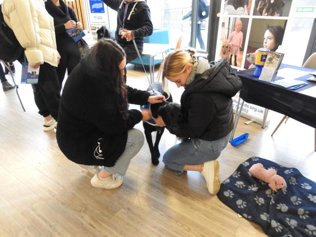 Helpful Hound Henry at a school