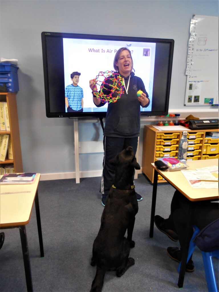 Helpful Hound Henry training in a classroom