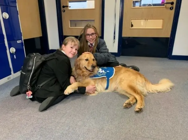 Scoot Helpful Hound at Toynbee School, How to Donate to Helpful Hounds