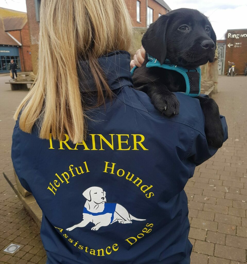 Trained assistance dogs for clearance sale