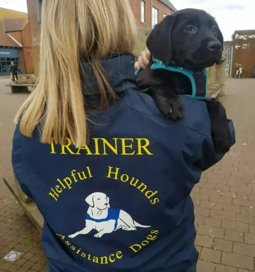 Helpful Hounds trainer holding a puppy over their shoulder, charity trained assistance dogs