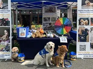 Exhibition stand dogs