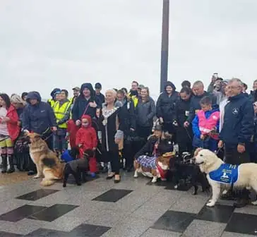 Helpful Hounds Charity Walkers