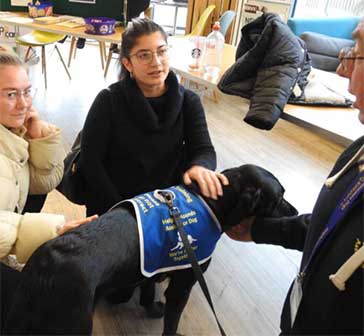 school-based assistance dog