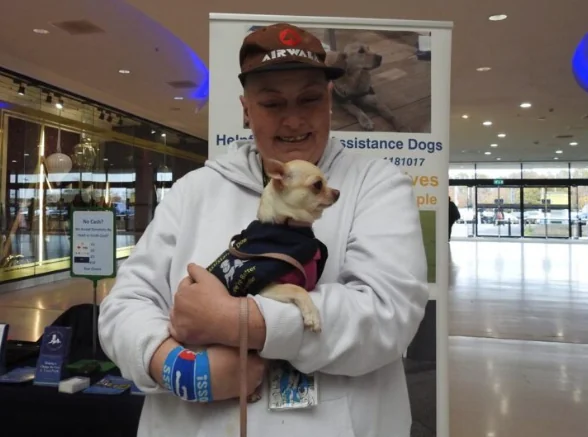 Helpful Hounds in shopping centre