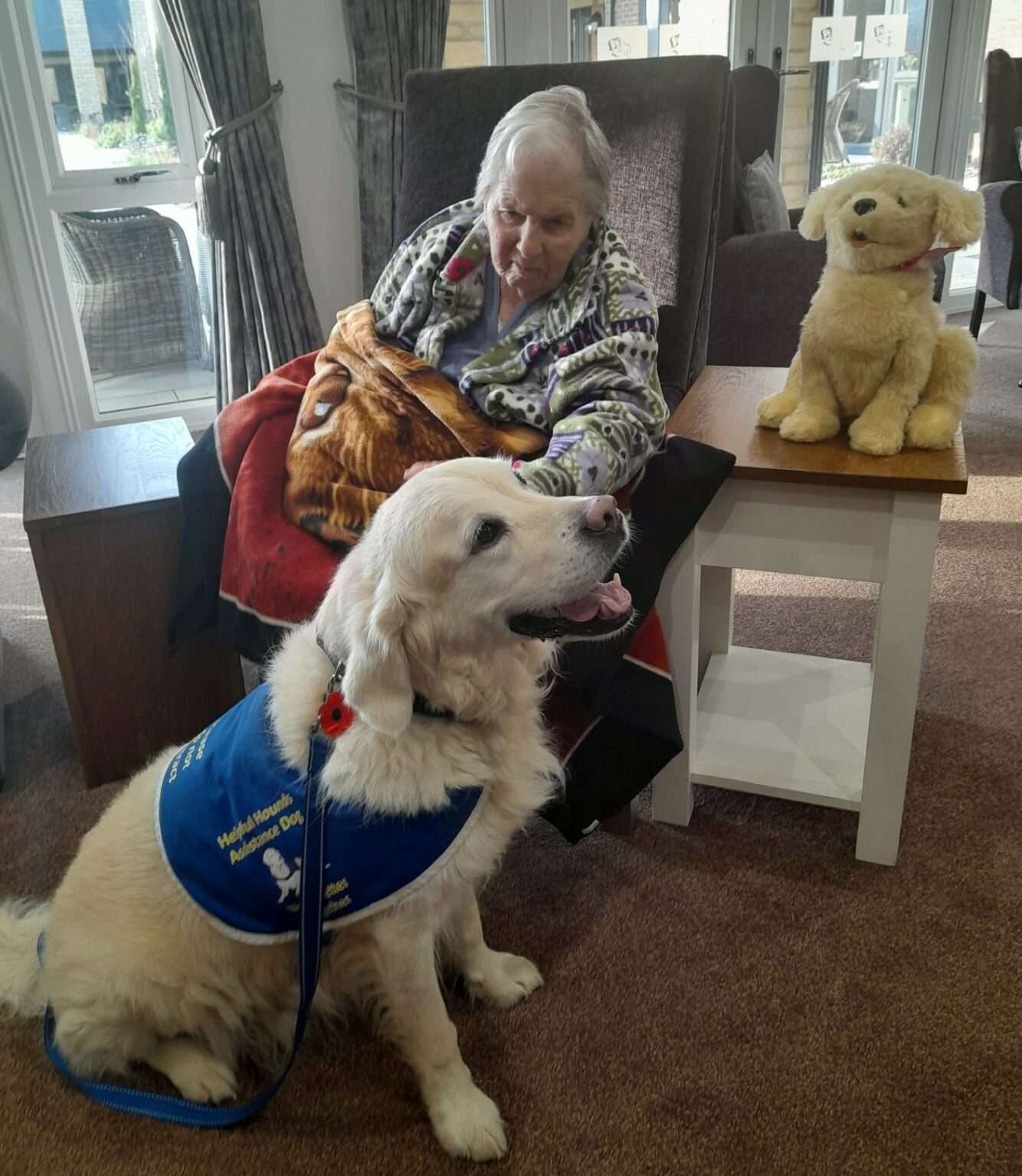 Community Dogs - Helpful Hounds Assistance Dogs
