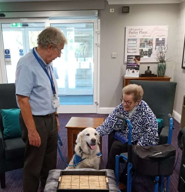 Dogs Community Community Dogs - Helpful Hounds Assistance Dogs