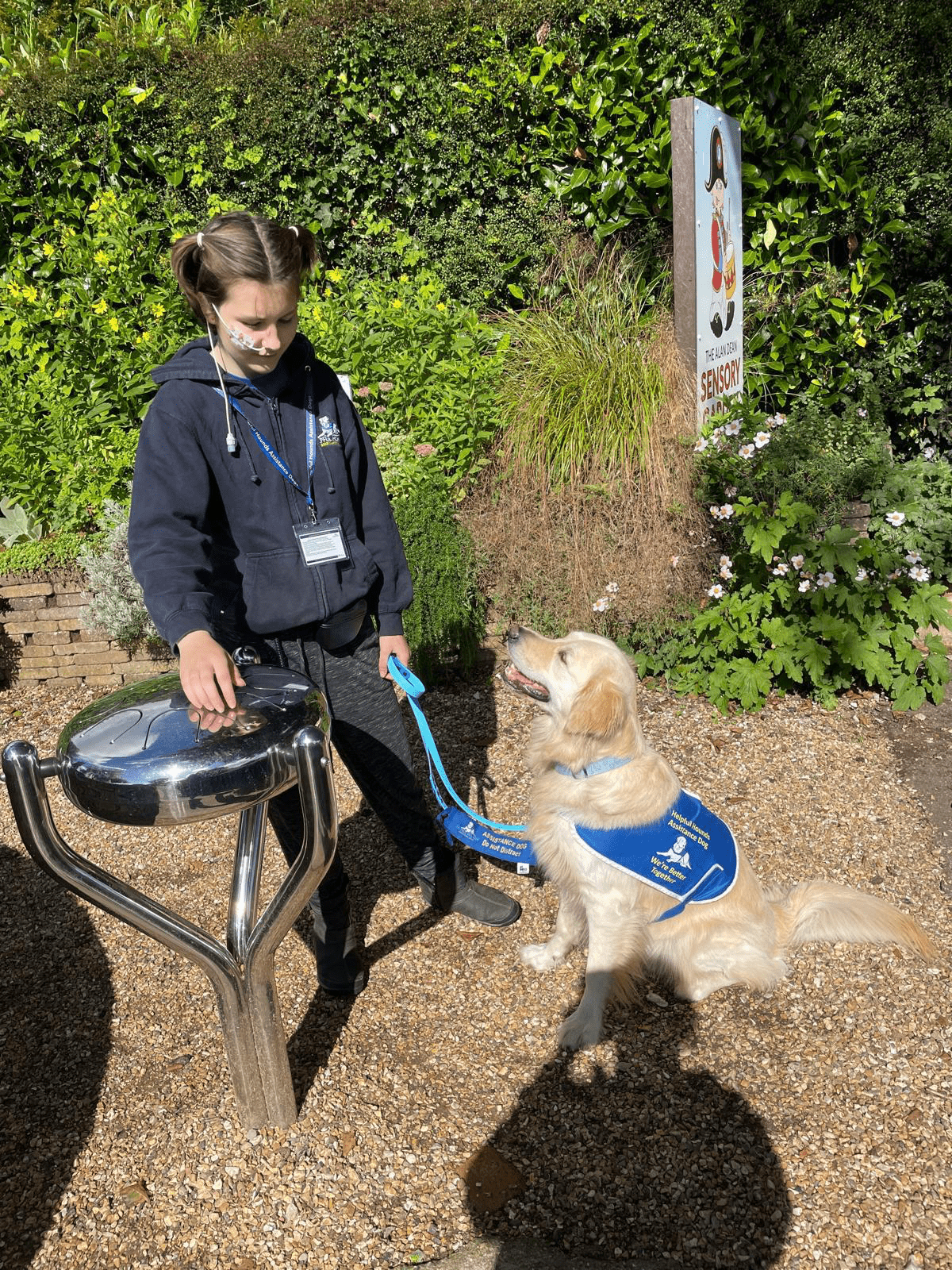 Testimonials & Reviews | Helpful Hounds Assistance Dogs