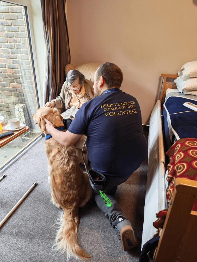 CD Dogs Care Homes1