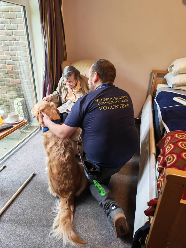CD Dogs Care Homes1