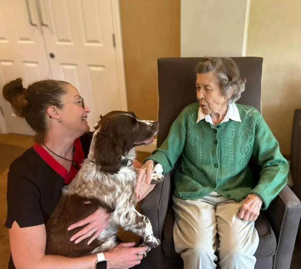 CD Dogs Care Homes3