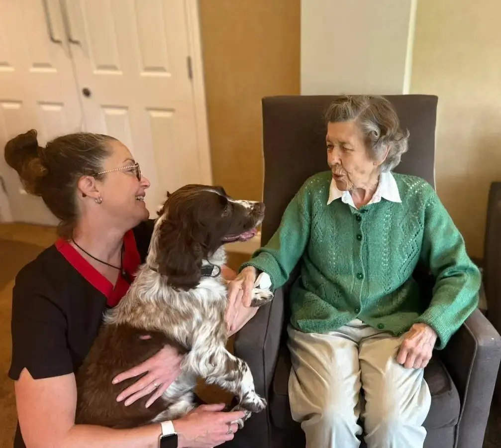 CD Dogs Care Homes3