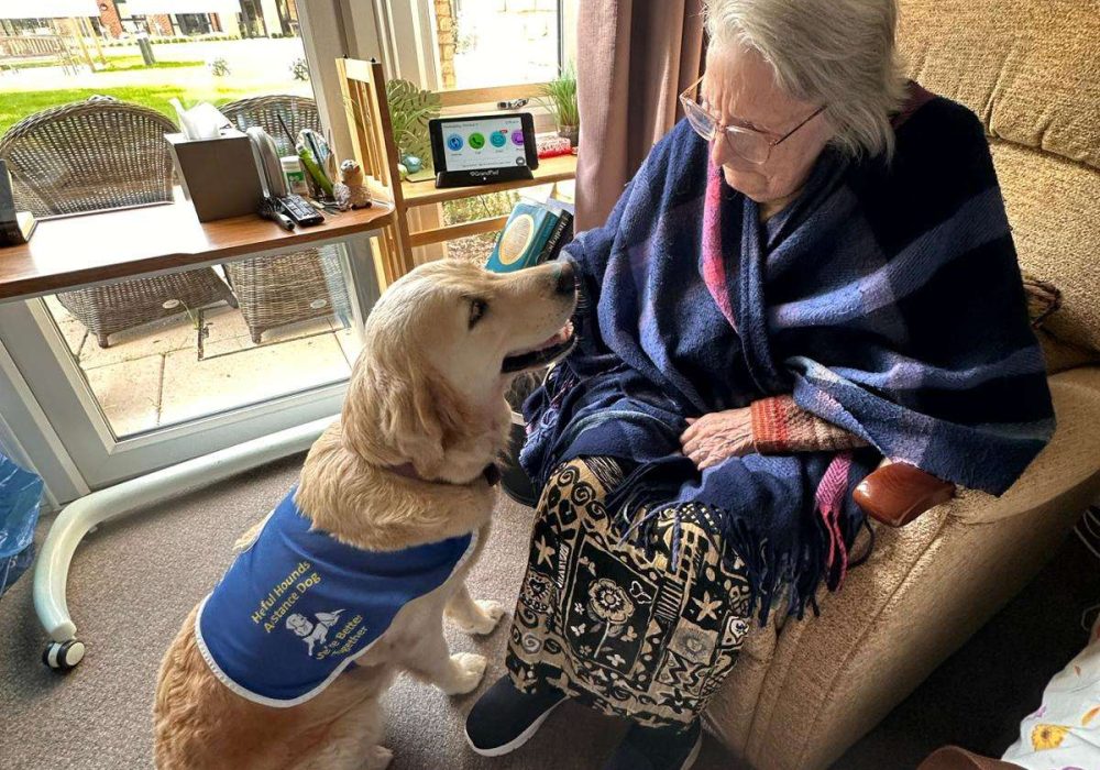 a woman sitting in a chair with a dog